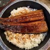 eel farm - 