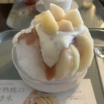 本町 カメリヤ