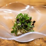 LiT - 2026.8 シマアジ 浅漬けきゅうり 焼き茄子ピュレ 有機グリーンオリーブ 石川産マイクロハーブ