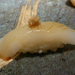 築地すし好 JIN仁 - ケンサキイカ（ショウガ乗せ）