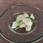 オステリーア桂 - 