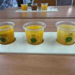 愛媛の学校1970 なましぼり学園 - 愛媛果試28号—天草—甘夏　　色が違います！