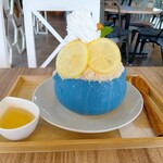 Blue Bee SAND - 横からの図