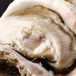 日本酒バル 方舟プラチナ  - 夏の風物詩　天然岩牡蠣
