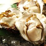 日本酒バル 方舟プラチナ  - 岩牡蠣