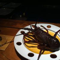 日本料理 京都 華暦 - 