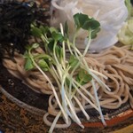 水舎 - 