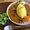 CURRY CISCO