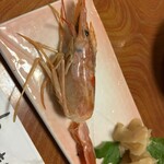 とんま - 