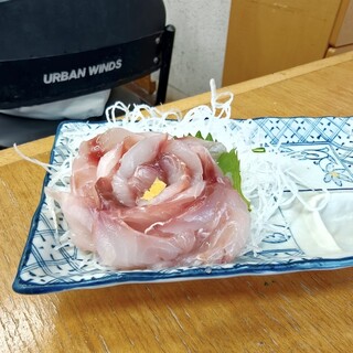 シェット_0