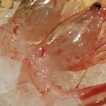 鮨処 竜敏 - 活車エビ