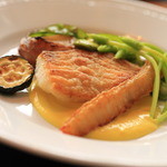 イル・クッチョロ - 「天然ヒラメのソテー 黄色ズッキーニのソース」