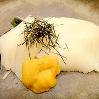 おたる政寿司 銀座 - 特製いかそうめん　アップ