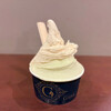 젤라테리아 지나 - ダブル（700円）
                ・ノッチョーラ味
                ・ピスタチオ味