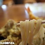 田舎打ち 麺蔵 - 2015年5月　うどん　アップ