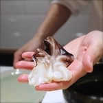 鮨　ミ雲 - とりがい。大きいですね♡