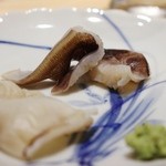 鮨　ミ雲 - おくは生のとりがい