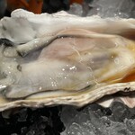 焼がきの はやし - 生牡蠣のアップ