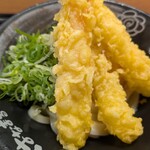 はなまるうどん - はなまる感謝うどん(冷)、アップ
