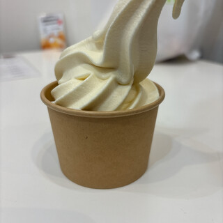 プチ体験型土産店 ちょす_0