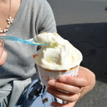 Old Bridge Gelateria - 2015/05　3cup