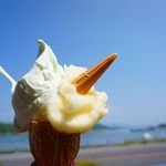 ドルチェ 本店 - 