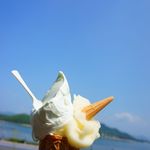 ドルチェ 本店 - 