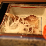 京懐石 吉泉 - お造り　（大分県　トリ貝）　(2015/04)