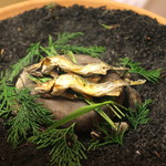 京懐石 吉泉 - 鮎の塩焼き　(2015/04)