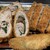 とんかつ濵かつ - 料理写真:梅しそ巻とロース御膳