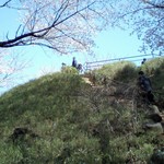Bonchu Chimutaku - 箱根山の桜