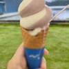 ao LAKESIDE CAFE - 料理写真: