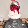 こおり　シロイタチ