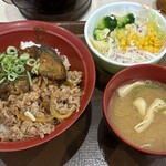 すき家 - 料理写真:シビ辛麻婆茄子牛丼 サラダランチセット