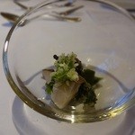 ウシマル - トコブシ＋ワサビの花