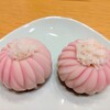 大岡屋製菓舗 - 上生菓子（練切　菊の着綿）　綺麗