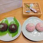 大岡屋製菓舗 - くずまんじゅう　と　上生菓子（練切　菊の着綿）　と　わらび餅