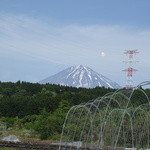 レストラン ビオス - 富士山が正面です