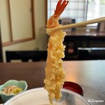初駒 - 揚げたての海老の天ぷら