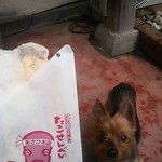 37914248 - たこせんべい ￥350