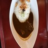 金乃台カントリークラブ - 料理写真: