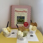 MITAKE HOLIDAY GELATO - 