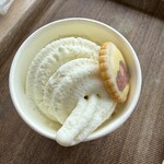 宮島水族館 ミュージアムショップ - 
