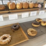 BLANKET DONUTS - 