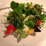 レフェルヴェソンス - 