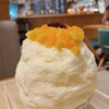 の、