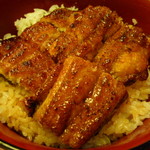 【鰻丼（梅）】アップ♪