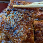 うなぎのなんけ - 