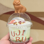 UJIRU MATCHA grab&go - 