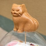 UJIRU MATCHA grab&go - 